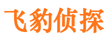 阜阳侦探公司